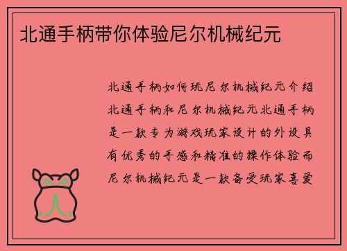 北通手柄带你体验尼尔机械纪元